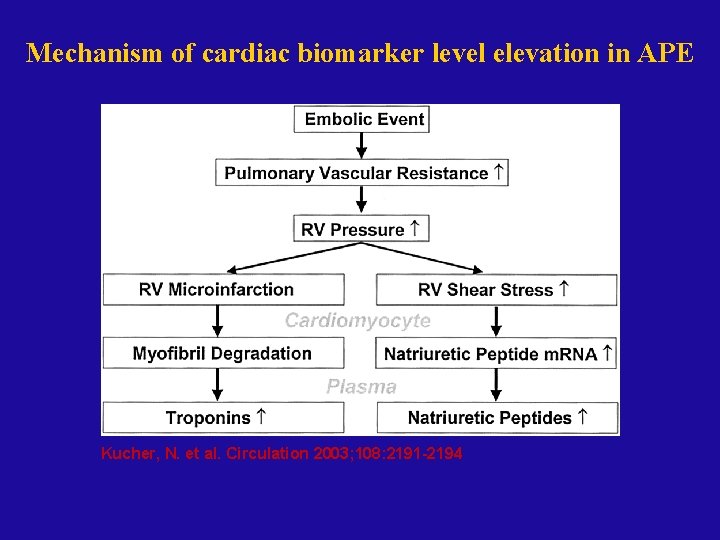 Mechanism of cardiac biomarker level elevation in APE Kucher, N. et al. Circulation 2003;