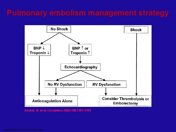 Pulmonary embolism management strategy Kucher, N. et al. Circulation 2003; 108: 2191 -2194 Copyright