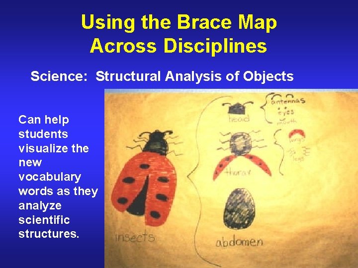 Using the Brace Map Across Disciplines Science: Structural Analysis of Objects Can help students