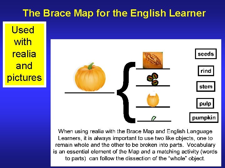 The Brace Map for the English Learner Used with realia and pictures 
