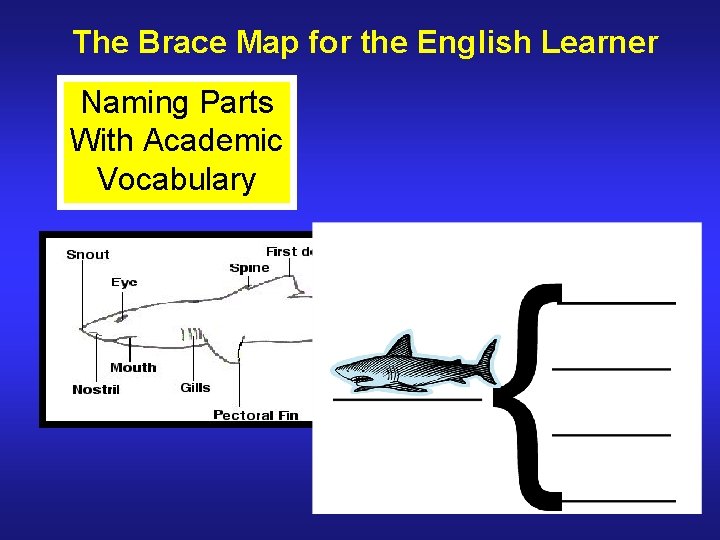 The Brace Map for the English Learner Naming Parts With Academic Vocabulary 