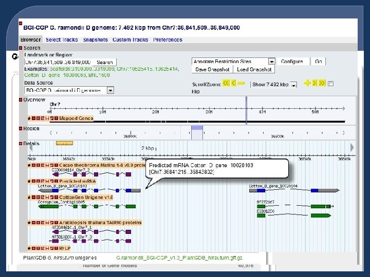 Genome Details Page 