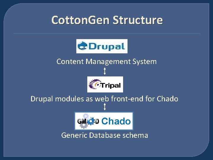 Cotton. Gen Structure Content Management System Drupal modules as web front-end for Chado Generic