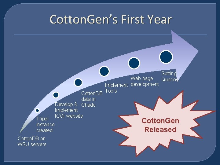 Cotton. Gen’s First Year Tripal instance created Cotton. DB on WSU servers Web page