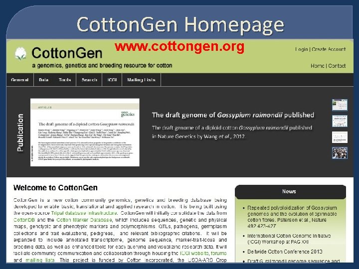 Cotton. Gen Homepage www. cottongen. org 