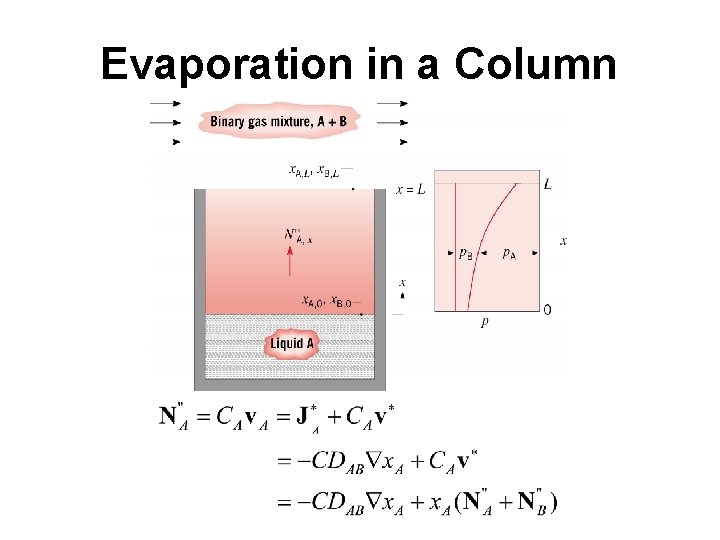 Evaporation in a Column 