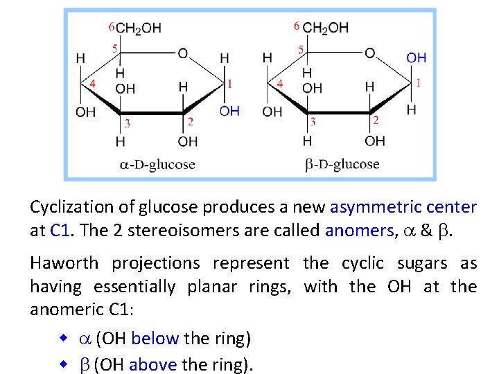 Cyclization of glucose produces a new asymmetric center at C 1. The 2 stereoisomers