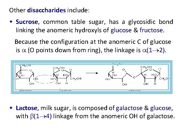 Other disaccharides include: w Sucrose, common table sugar, has a glycosidic bond linking the