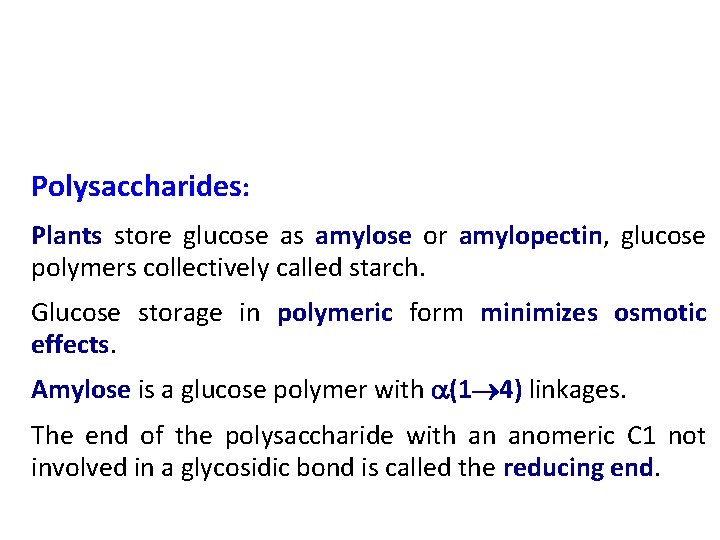 Polysaccharides: Plants store glucose as amylose or amylopectin, glucose polymers collectively called starch. Glucose
