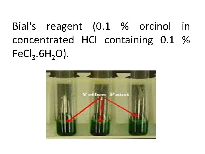 Bial's reagent (0. 1 % orcinol in concentrated HCl containing 0. 1 % Fe.