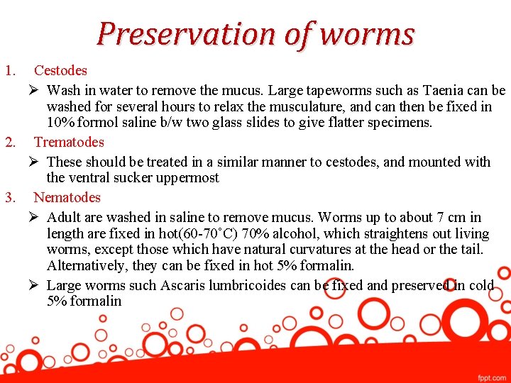 Preservation of worms 1. Cestodes Ø Wash in water to remove the mucus. Large