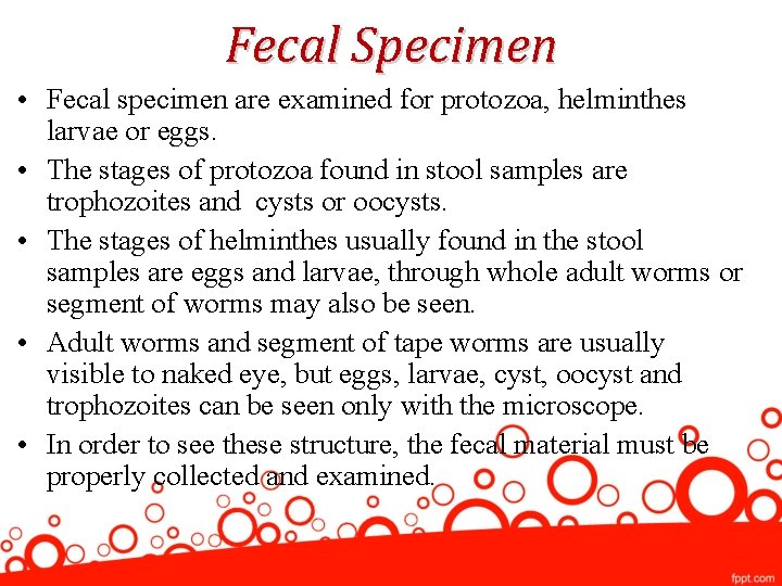 Fecal Specimen • Fecal specimen are examined for protozoa, helminthes larvae or eggs. •