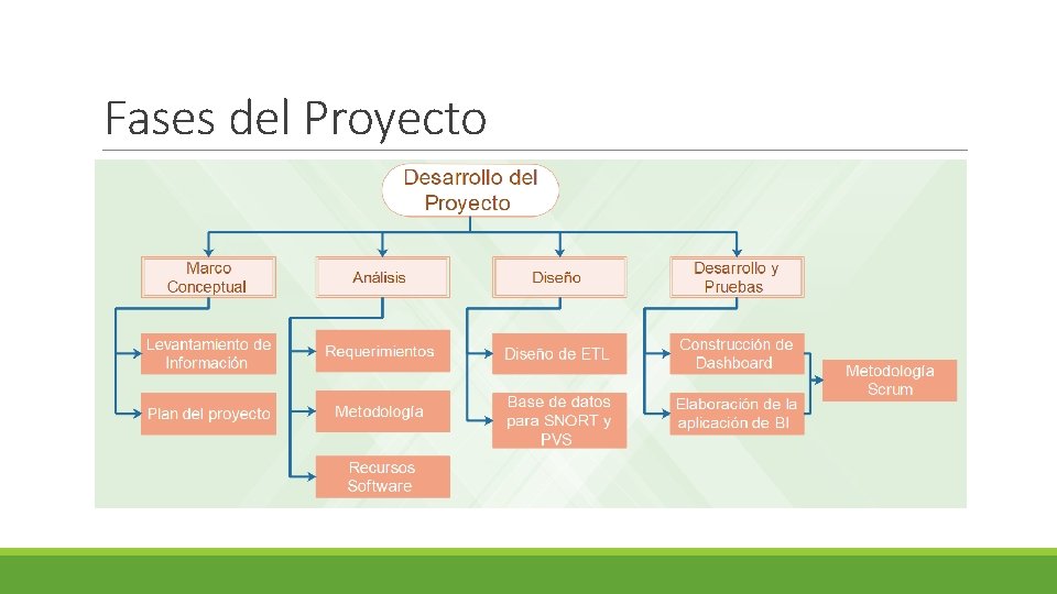 Fases del Proyecto 