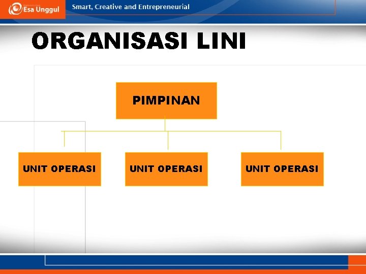 ORGANISASI LINI PIMPINAN UNIT OPERASI 