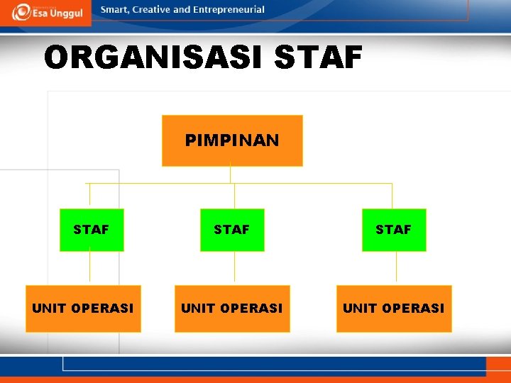 ORGANISASI STAF PIMPINAN STAF UNIT OPERASI 