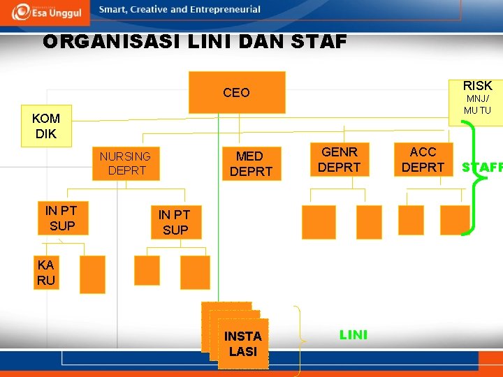 ORGANISASI LINI DAN STAF RISK CEO MNJ/ MUTU KOM DIK MED DEPRT NURSING DEPRT