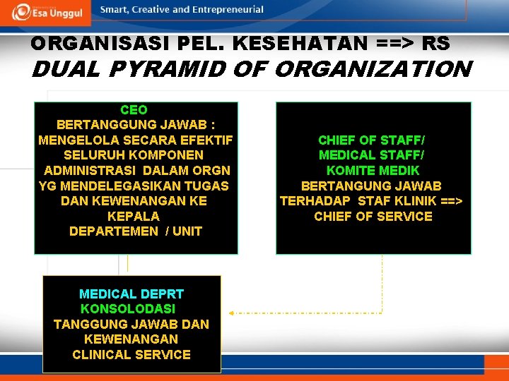 ORGANISASI PEL. KESEHATAN ==> RS DUAL PYRAMID OF ORGANIZATION CEO BERTANGGUNG JAWAB : MENGELOLA