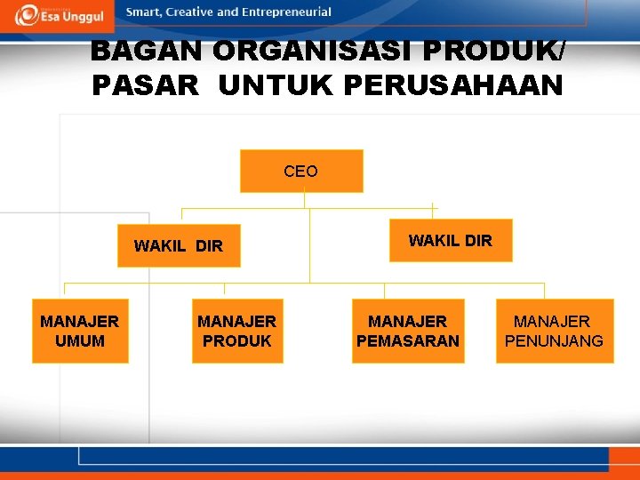 BAGAN ORGANISASI PRODUK/ PASAR UNTUK PERUSAHAAN CEO WAKIL DIR MANAJER UMUM MANAJER PRODUK WAKIL