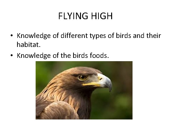 FLYING HIGH • Knowledge of different types of birds and their habitat. • Knowledge