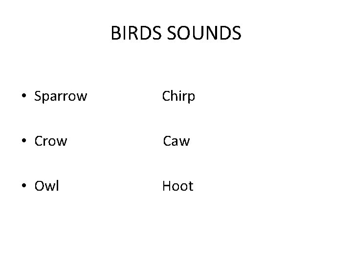 BIRDS SOUNDS • Sparrow Chirp • Crow Caw • Owl Hoot 