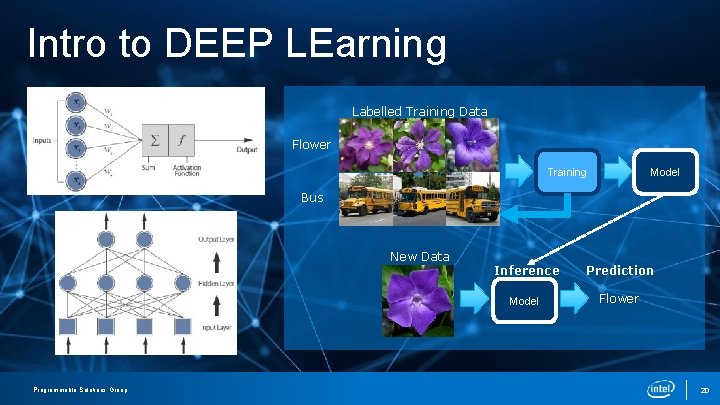 Intro to DEEP LEarning Labelled Training Data Flower Model Training Bus New Data PROGRAMMABLE Intro to DEEP LEarning Labelled Training Data Flower Model Training Bus New Data PROGRAMMABLE