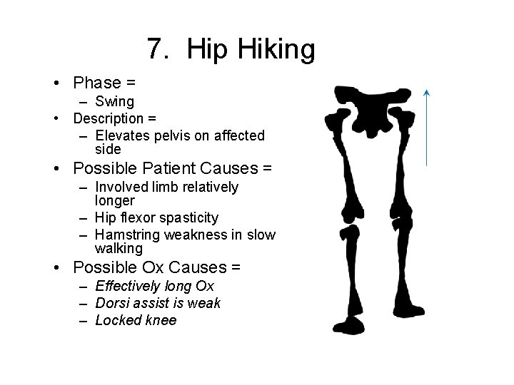 7. Hip Hiking • Phase = – Swing • Description = – Elevates pelvis