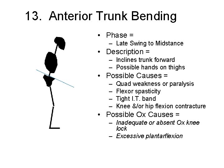 13. Anterior Trunk Bending • Phase = – Late Swing to Midstance • Description