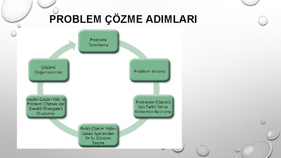 PROBLEM ÇÖZME ADIMLARI 