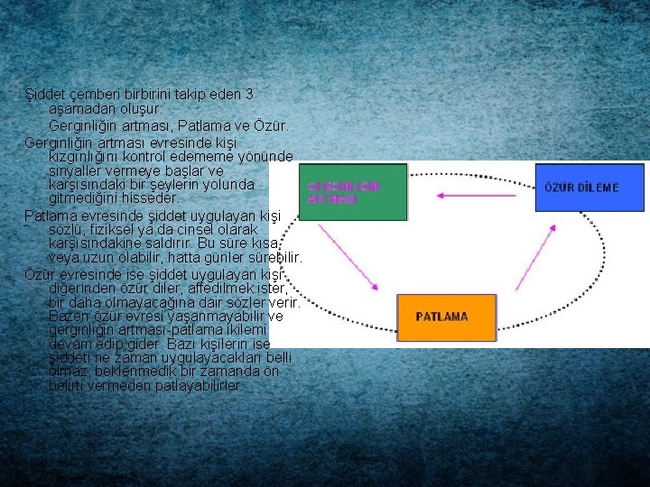 Şiddet çemberi birbirini takip eden 3 aşamadan oluşur: Gerginliğin artması, Patlama ve Özür. Gerginliğin