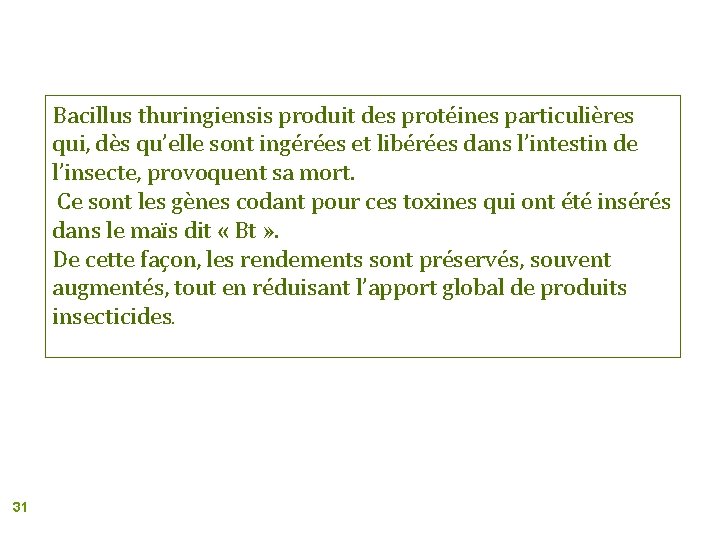 Bacillus thuringiensis produit des protéines particulières qui, dès qu’elle sont ingérées et libérées dans