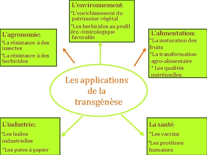 L’environnement: L’agronomie: *La résistance à des insectes *La résistance à des herbicides *L’enrichissement du