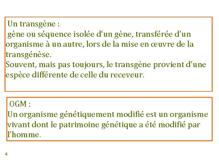 Un transgène : gène ou séquence isolée d'un gène, transférée d'un organisme à un