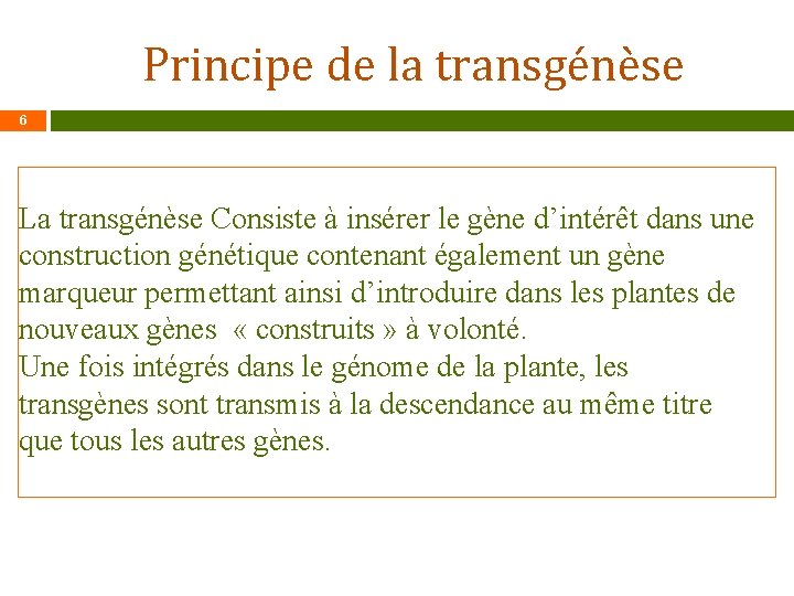 Principe de la transgénèse 6 La transgénèse Consiste à insérer le gène d’intérêt dans