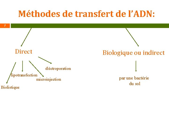 Méthodes de transfert de l’ADN: 7 Direct Biologique ou indirect éléctroporation lipotransfection microinjection Biolistique