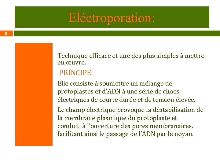 Eléctroporation: 9 Technique efficace et une des plus simples à mettre en œuvre. PRINCIPE: