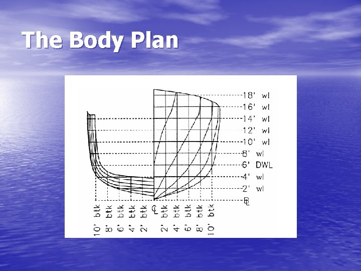 The Body Plan 