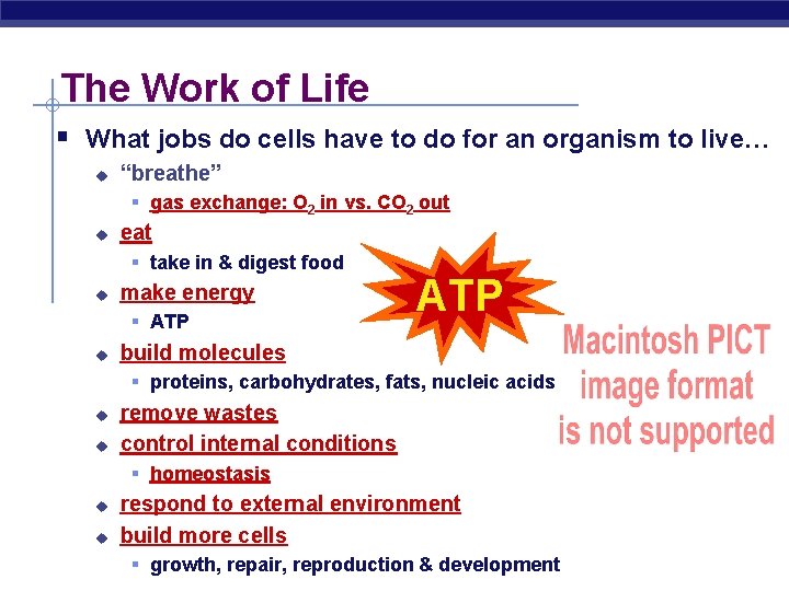 The Work of Life § What jobs do cells have to do for an