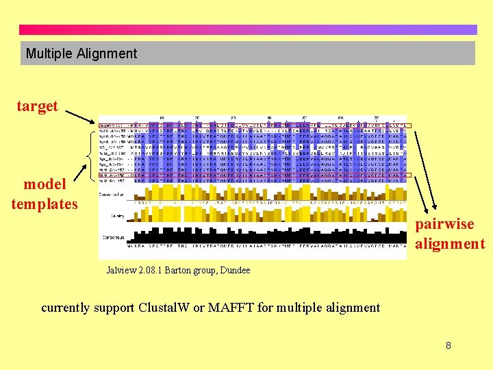 Multiple Alignment target model templates pairwise alignment Jalview 2. 08. 1 Barton group, Dundee