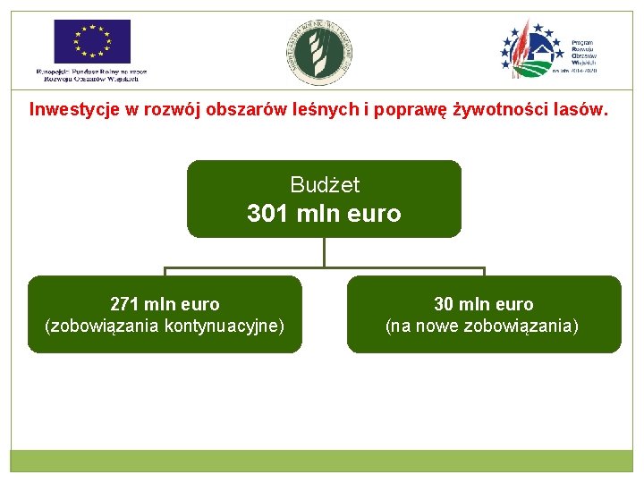 Inwestycje w rozwój obszarów leśnych i poprawę żywotności lasów. Budżet 301 mln euro 271