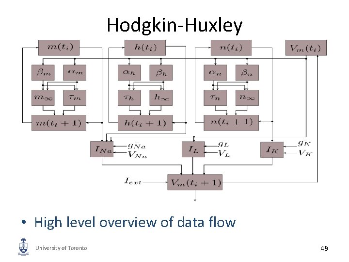 Hodgkin-Huxley • High level overview of data flow University of Toronto 49 