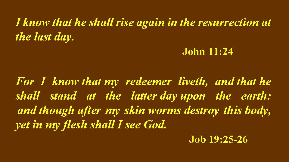 I know that he shall rise again in the resurrection at the last day.