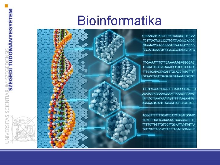 Bioinformatika 