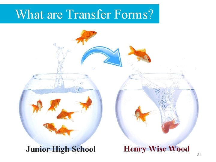 What are Transfer Forms? Junior High School Henry Wise Wood 31 