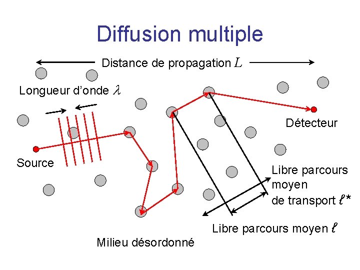 Diffusion multiple Distance de propagation L Longueur d’onde Détecteur Source Libre parcours moyen de
