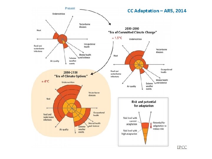 CC Adaptation – AR 5, 2014 