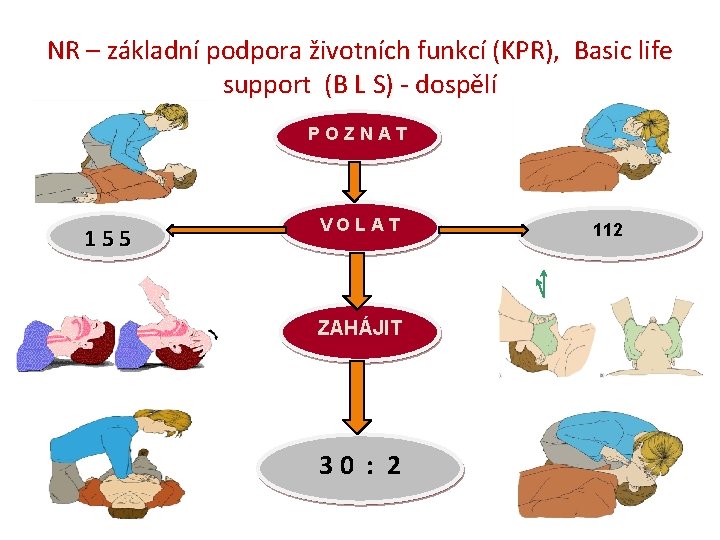 NR – základní podpora životních funkcí (KPR), Basic life support (B L S) -