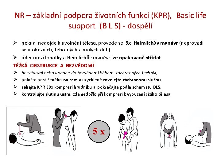 NR – základní podpora životních funkcí (KPR), Basic life support (B L S) -