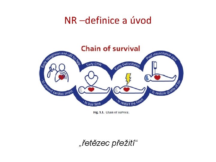 NR –definice a úvod „řetězec přežití“ 