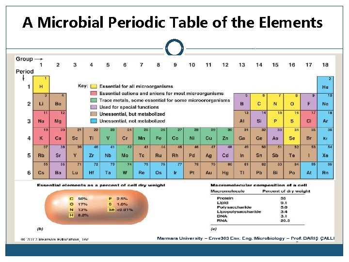 A Microbial Periodic Table of the Elements Figure 5. 1 