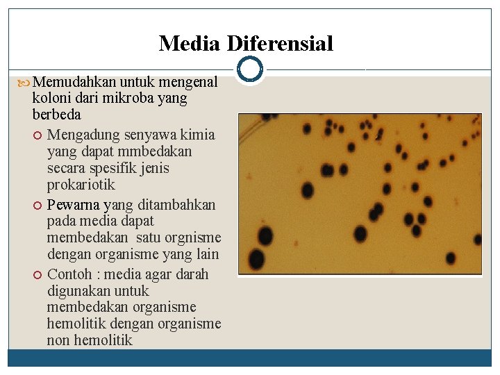 Media Diferensial Memudahkan untuk mengenal koloni dari mikroba yang berbeda Mengadung senyawa kimia yang